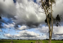 广州恒大展现强大实力，力争亚冠半决赛