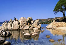 尤文图斯惜败巴黎无缘半决赛