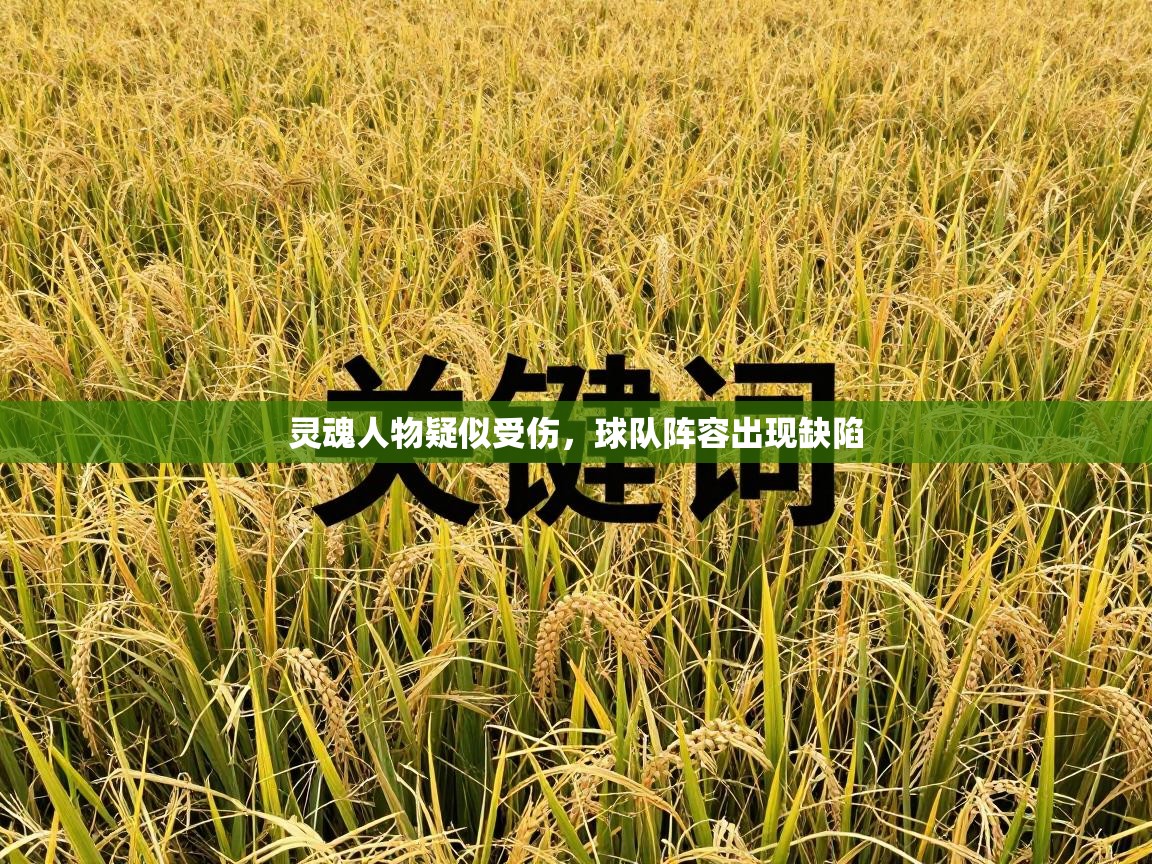 灵魂人物疑似受伤，球队阵容出现缺陷